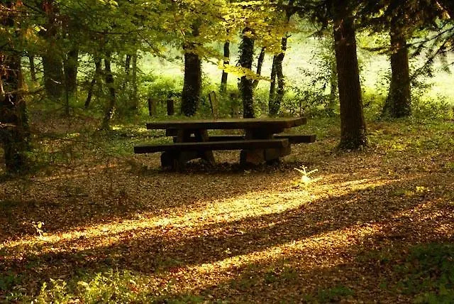 Quinta Da Fontoura * Alquerubim